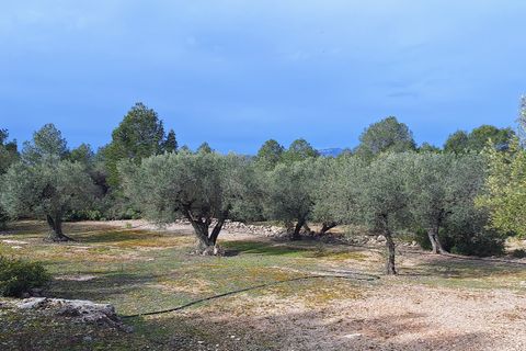 Terreno en Ginestar, Tarragona, Ginestar - € 21.000 | Ref: CC736 - photo 2